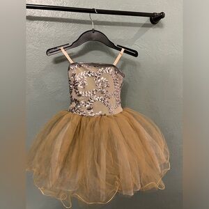 Elegant Gold and Silver Kids Ballet Costume Dress